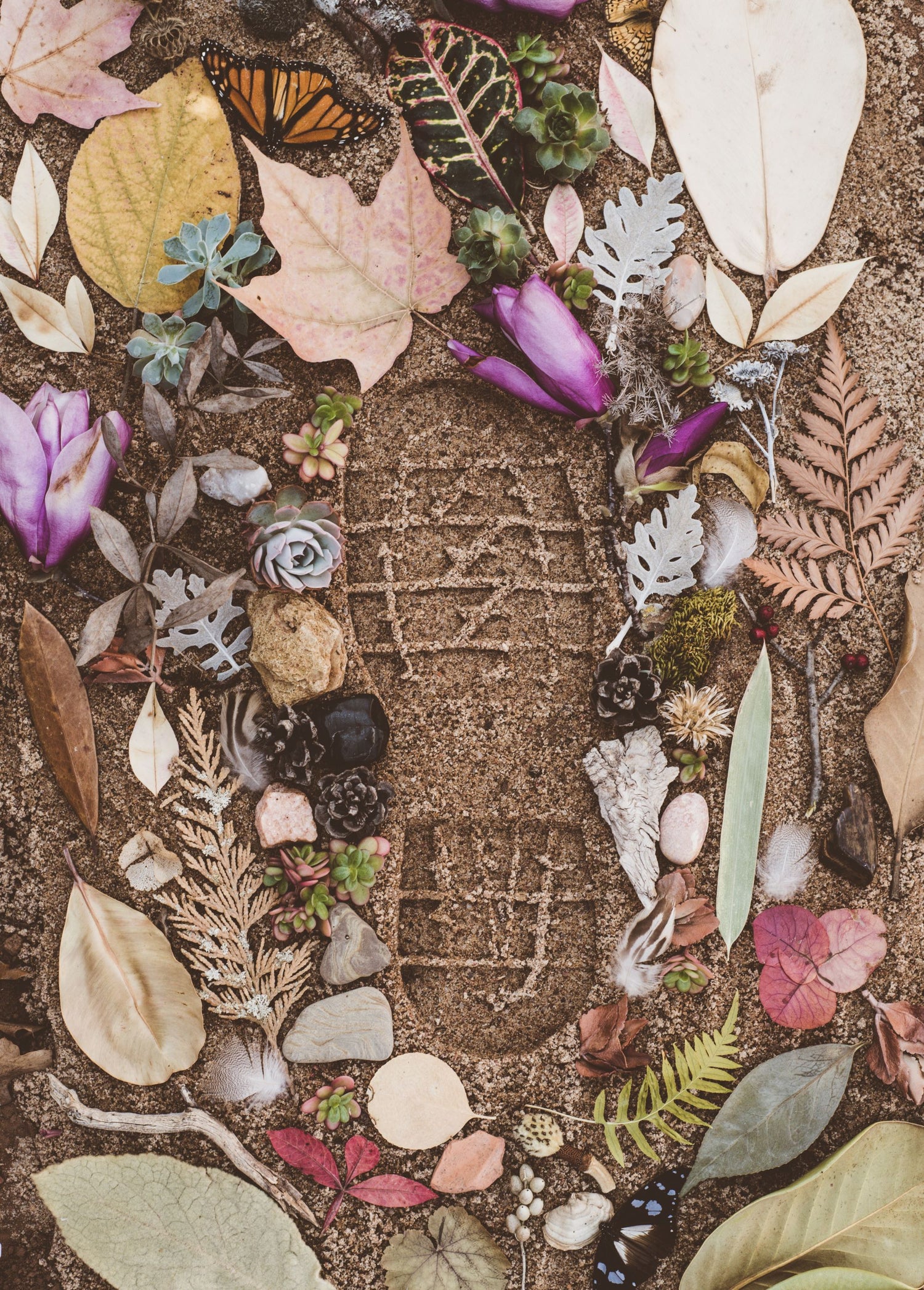 Carbon Footprint | houseofdog