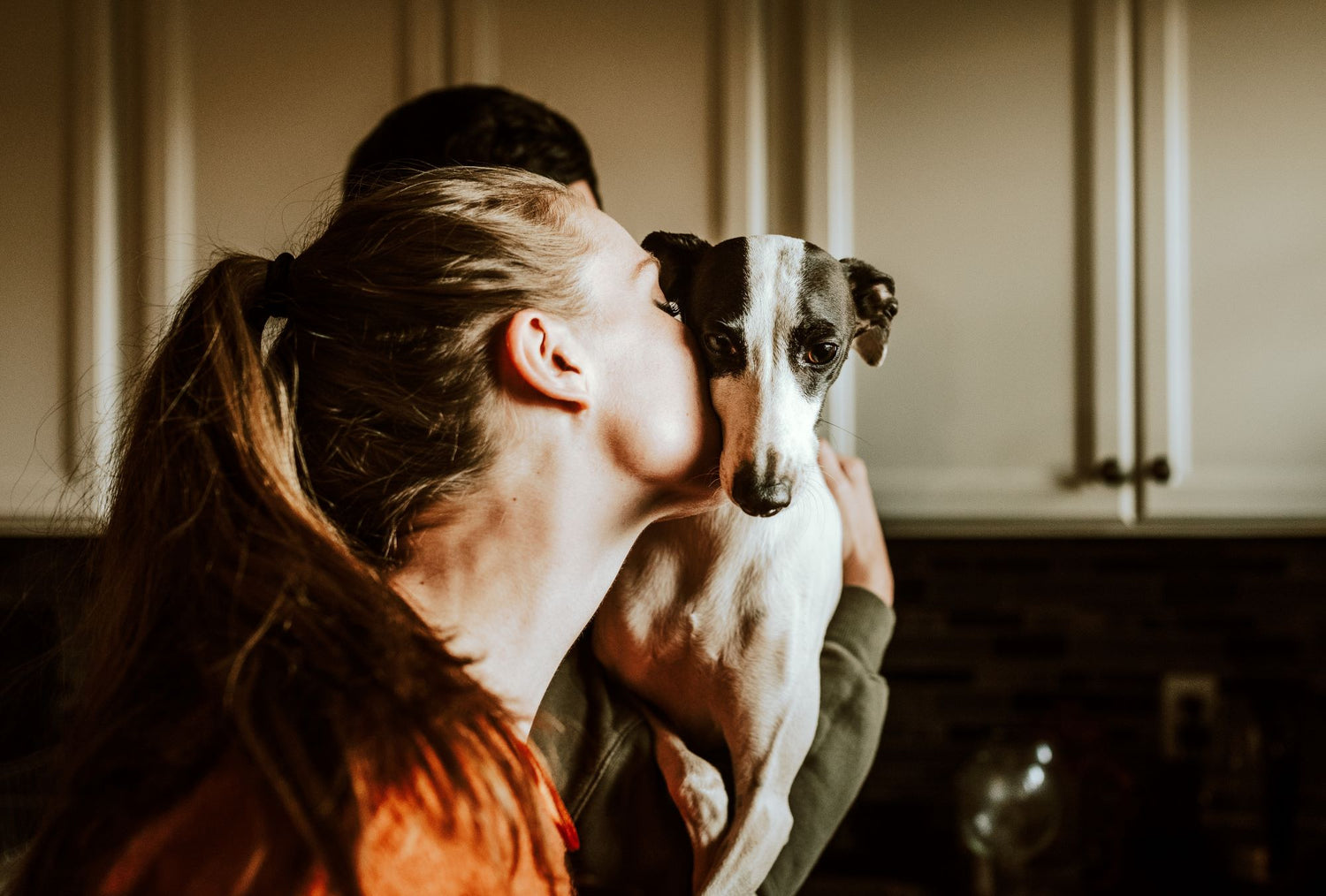 Love Your Dogs