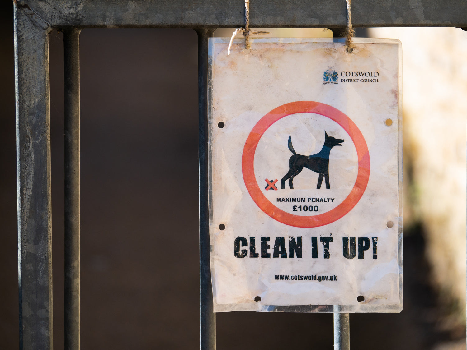 Clean it Up Banner