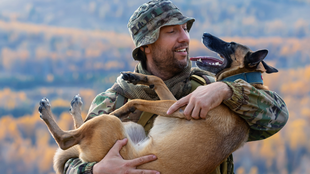 war heroes on four legs: an ANZAC tribute to love and loyalty