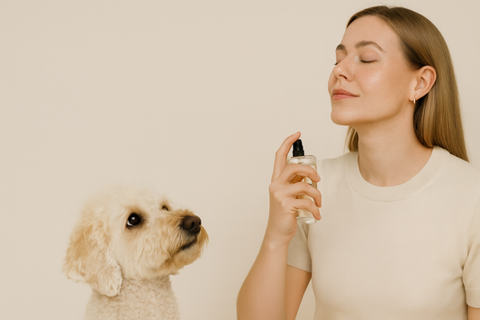 woman spraying perfume watched over by cute dog