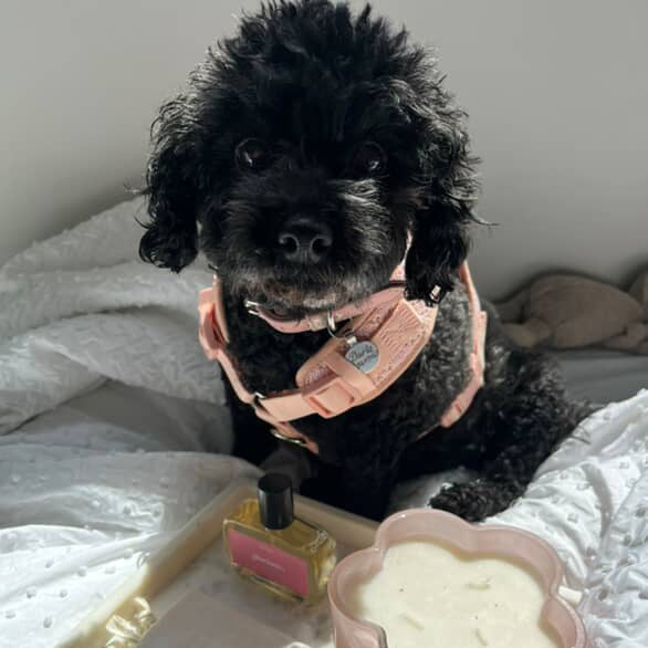 darla
