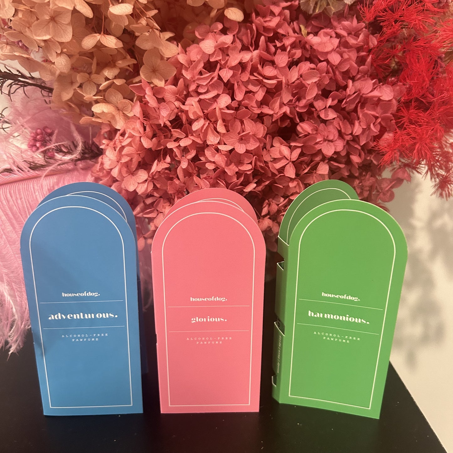 House of Dog perfume discovery set with 2ml sample vials of signature dog fragrances. Vegan, alcohol-free, perfect for trying different scents."

