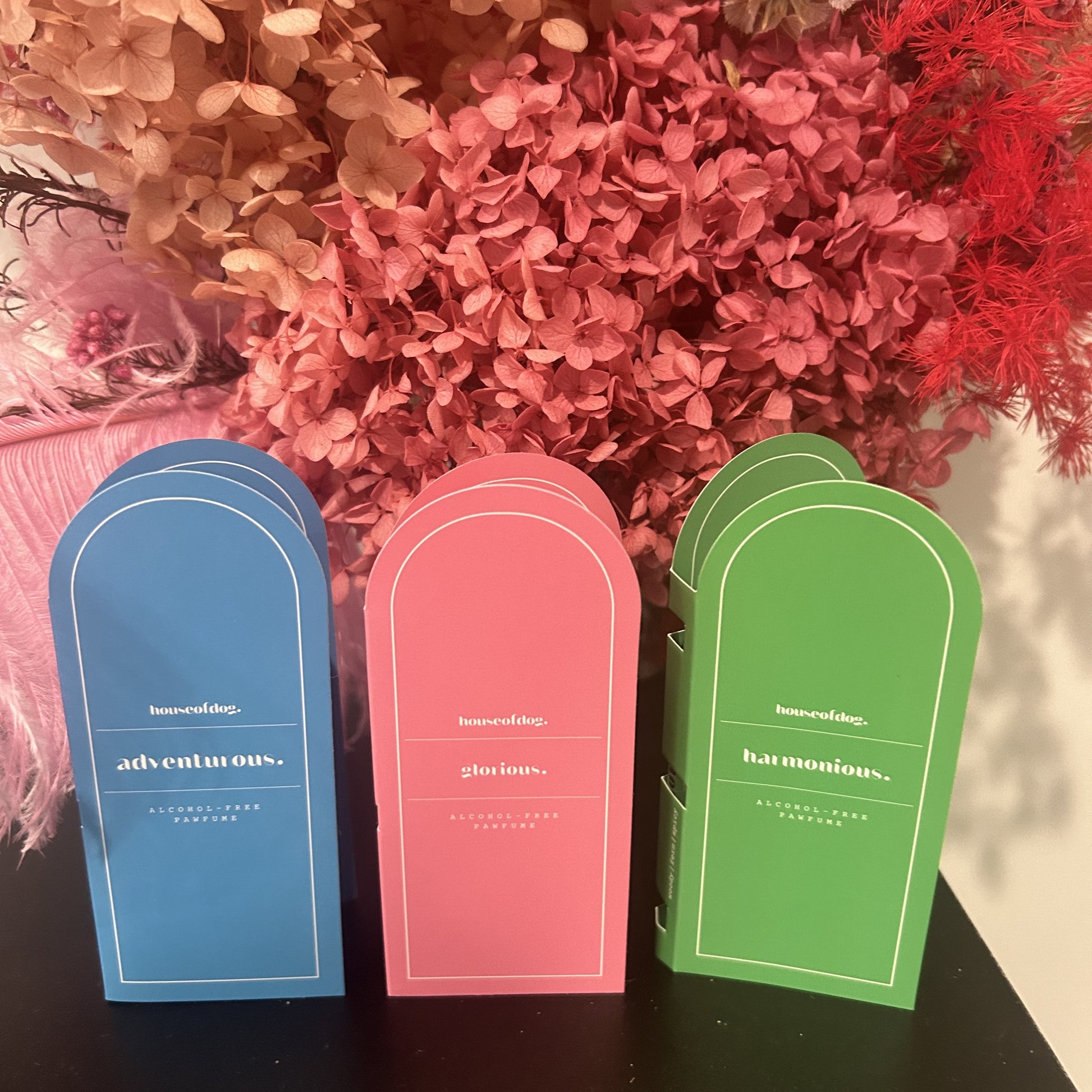 House of Dog perfume discovery set with 2ml sample vials of signature dog fragrances. Vegan, alcohol-free, perfect for trying different scents."

