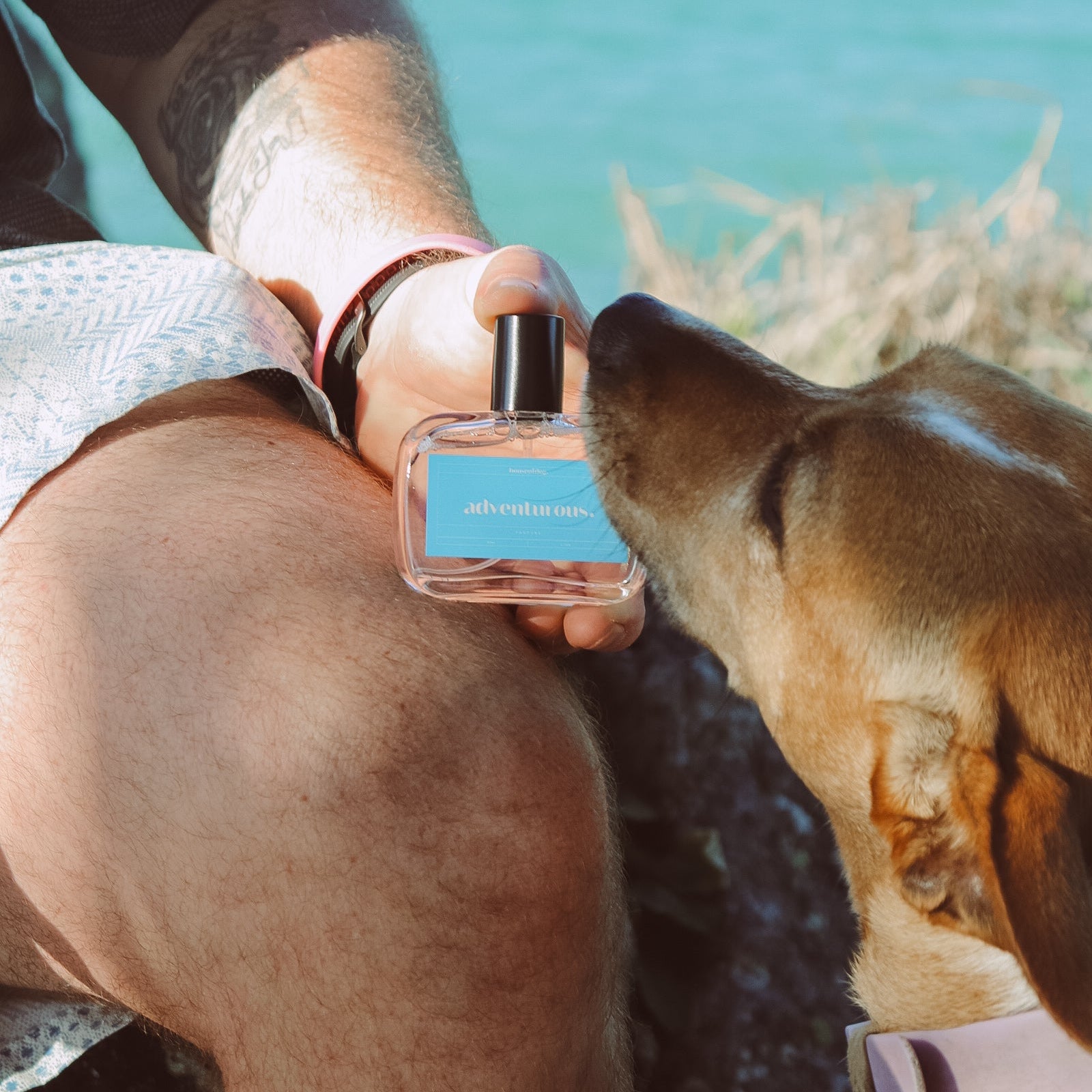 Person holding a perfume bottle with a dog by the beach