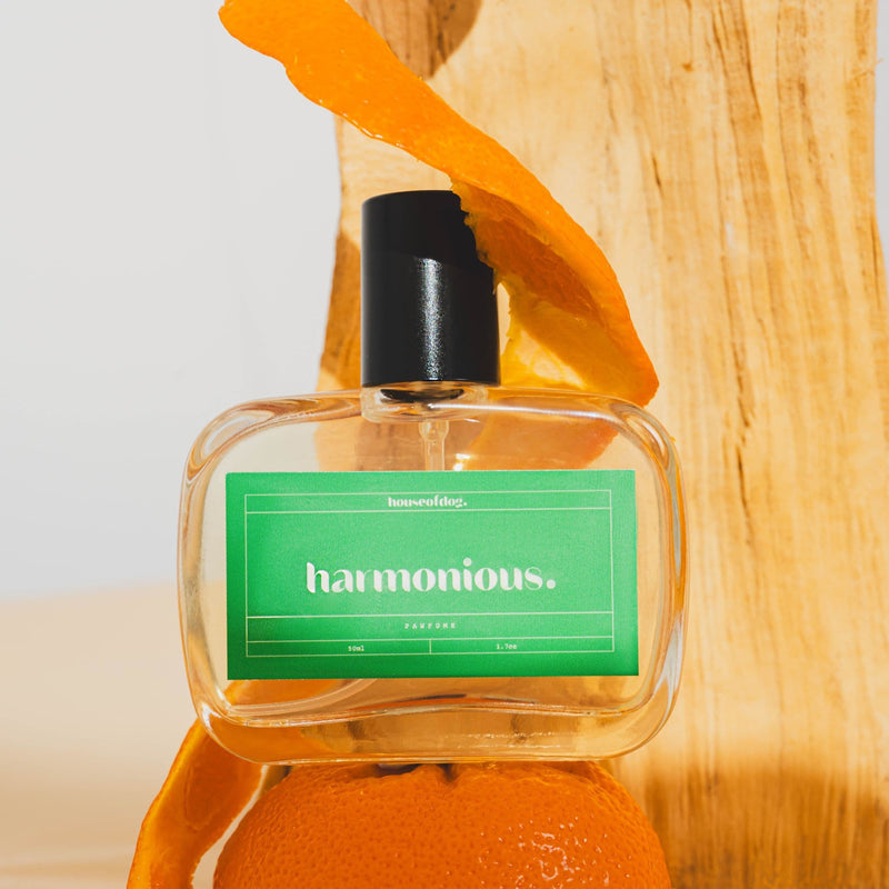 harmonious. woody dog perfume