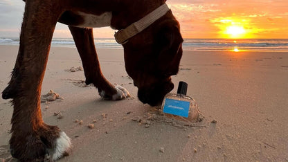 adventurous.  breezy dog perfume